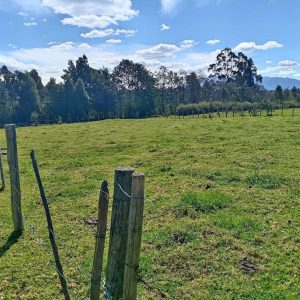 Se vende terreno 2.200 metros de oportunidad en PINTAG- 4 DE OCTUBRE