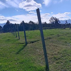Terreno de 4.400 metros de oportunidad en PINTAG- 4 DE OCTUBRE