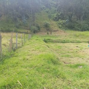 Se vende terreno de 1023 m2 en selva alegre por la empresa IASA