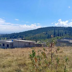 Se vende terreno de 600m2 en PIFO - LA ISLA