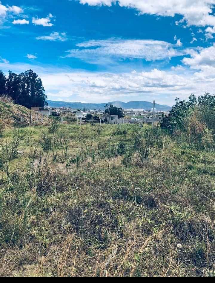 Se vende terreno en PIFO- MARIA TERESA