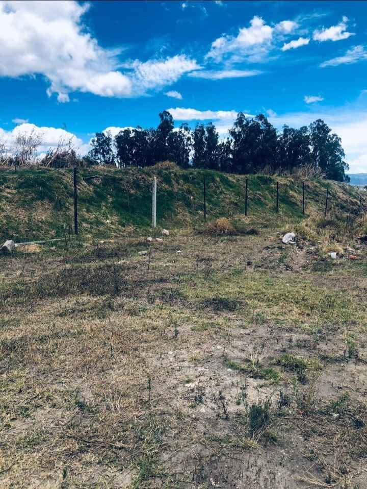 Se vende terreno en PIFO- MARIA TERESA - Imagen 4