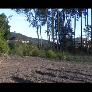 ¡Oportunidad Imperdible! Terreno de 5,000 Yaruqui -  San Andres