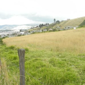 Oportunidad Única una Hectarea en venta