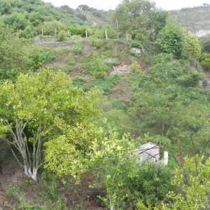 Terreno en Venta: Oportunidad Única en Guayabamba