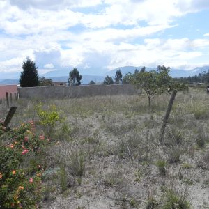 ¡Oportunidad Única! Terreno en Venta de 602 m² en Malchingui- La buena esperanza