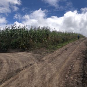 Terreno en Malchingui de 3000 m2